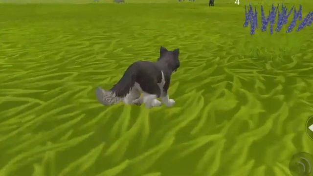 Мини фильм wildcraft дружба с детства смотреть онлайн