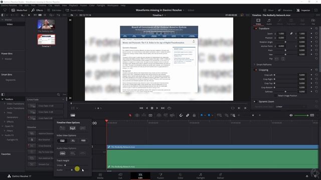 Waveforms Missing In Davinci Resolve