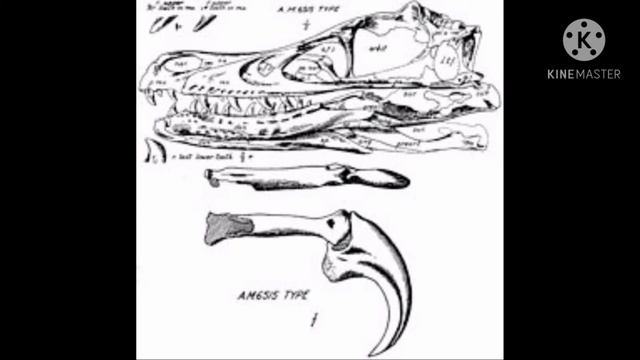 Lo que no conocías de un Sinornithosaurus смотреть онлайн