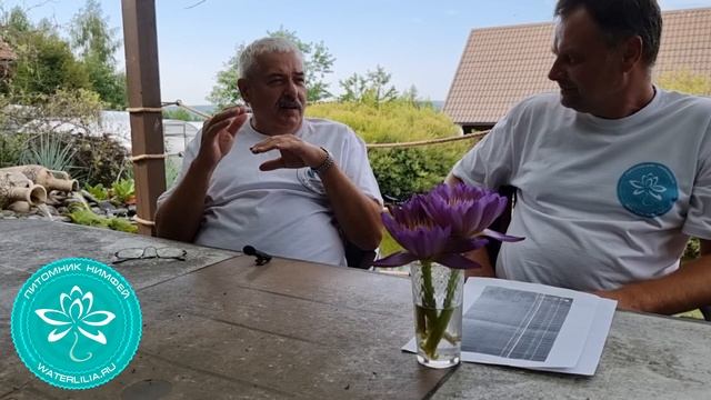 Питомник Сибирская Кувшинка, большое интервью владельца Андрея - гуру Сибирских нимфей и водоемов!