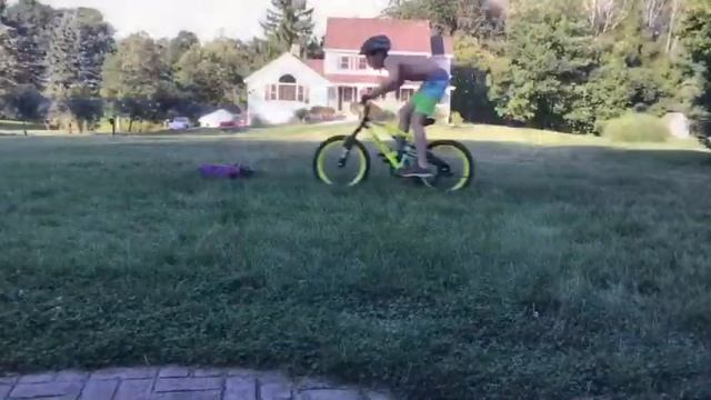 Chase the stunt man смотреть онлайн