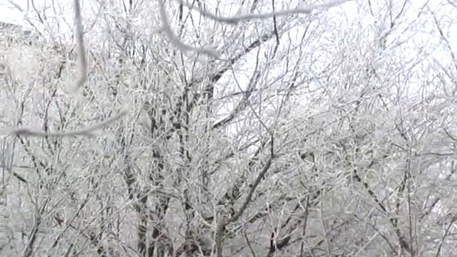 Фортепіанний твір "Свята Оксана" виконує Богдан Нагорняк смотреть онлайн