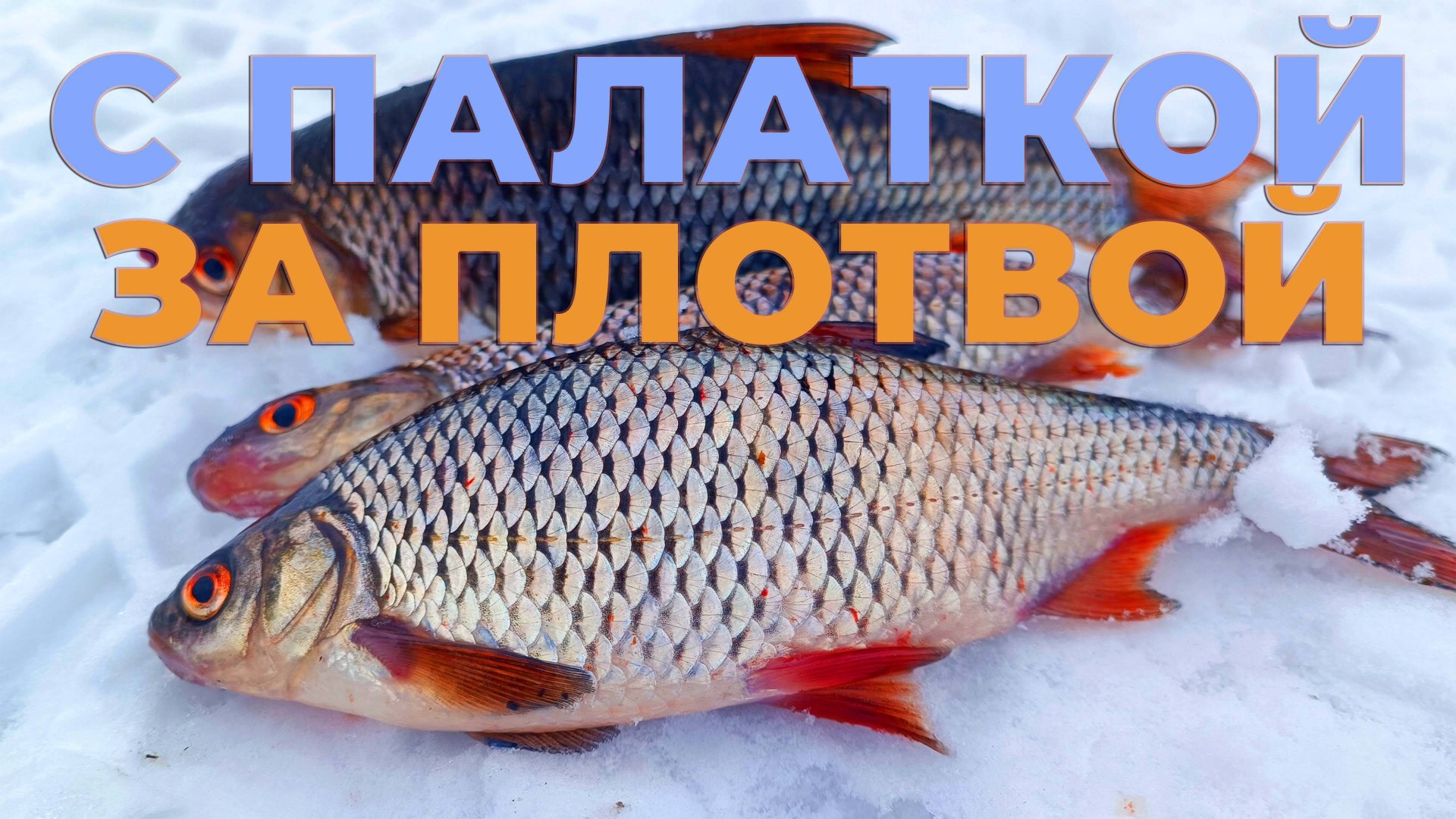 Рыбалка в палатке на Свири: плотва, чехонь и обед с приключениями! смотреть онлайн