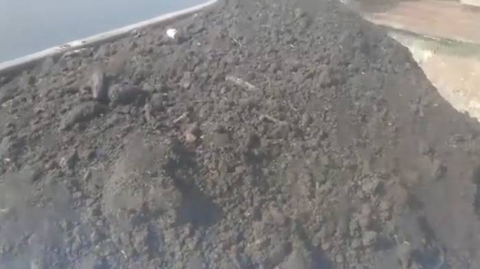 Чернозем Великий Новгород. Лесная земля, грунт, торф с доставкой. смотреть онлайн