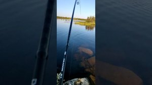 Хорошая щука на 4кг