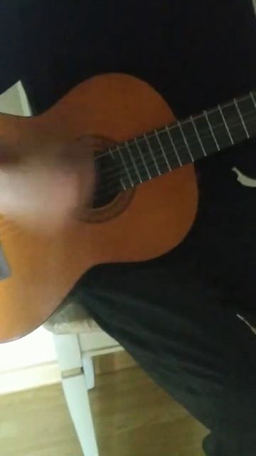 сантиз на гитаре растофарай