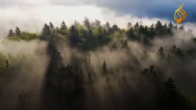 №11 - КАК ПРОСТОЕ СЛОВО МОЖЕТ ИЗМЕНИТЬ ТВОЮ ЖИЗНЬ_ СЕКРЕТЫ ИСТИГФАРА __ Абдур-Раззак аль-Бадр смотреть онлайн