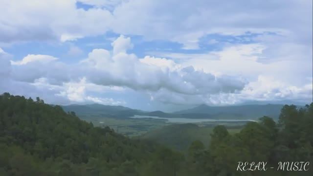 Релакс - музыка. Для души // Дикая природа // смотреть онлайн