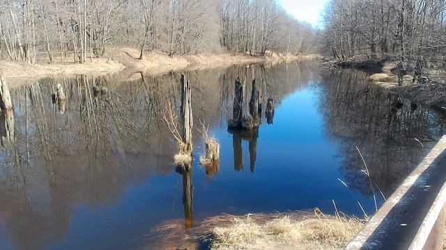прогулка на речку сережа