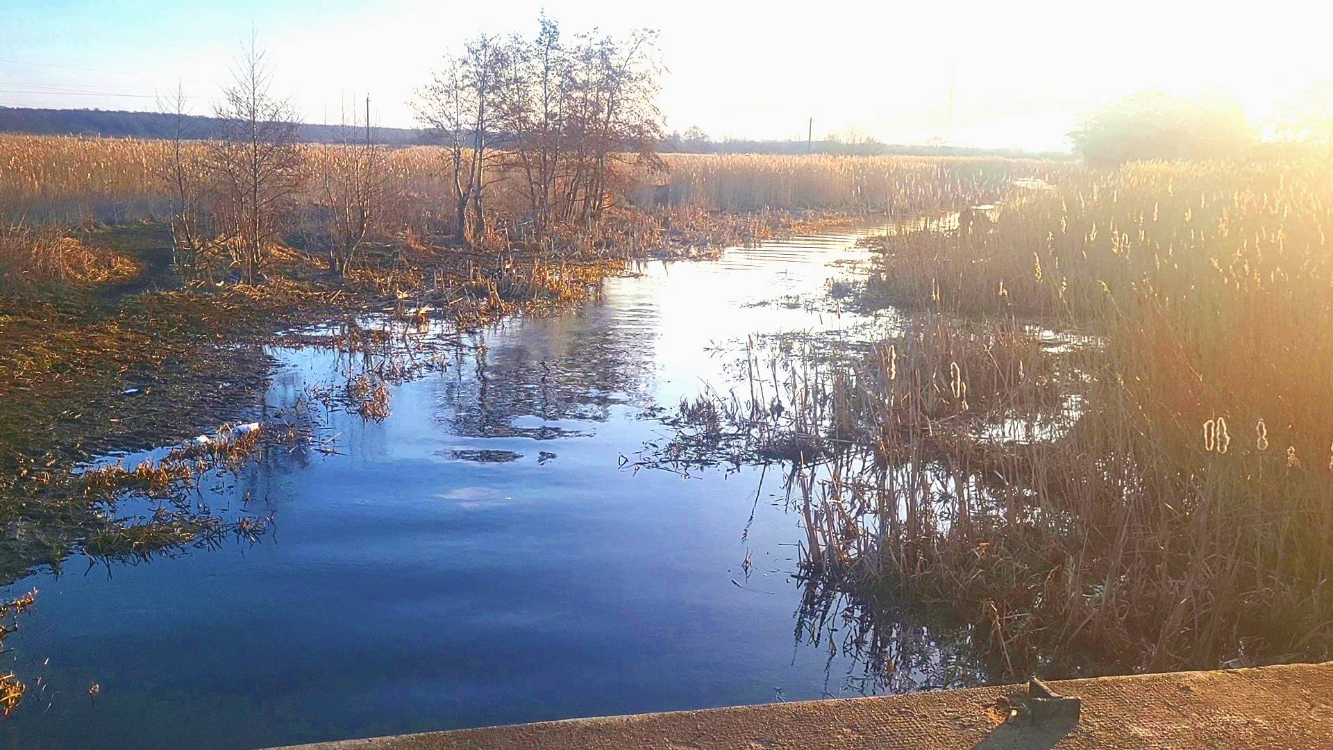 ВОТ ЭТО ПЛОТВА! Я НАШЕЛ ГДЕ КЛЮЕТ. Рыбалка на поплавок в марте смотреть онлайн