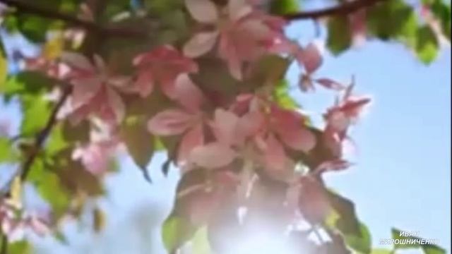 Успокаивающая музыка весны