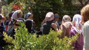 Прочитать Евангелие Ножками. 1 серия (2009)