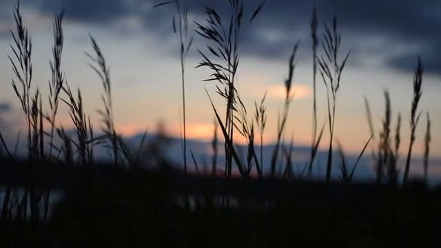 "Рождённая во время звездопада" поёт Марина Зорина смотреть онлайн