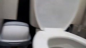 Моя подруга Соня лижет унитаз!!!