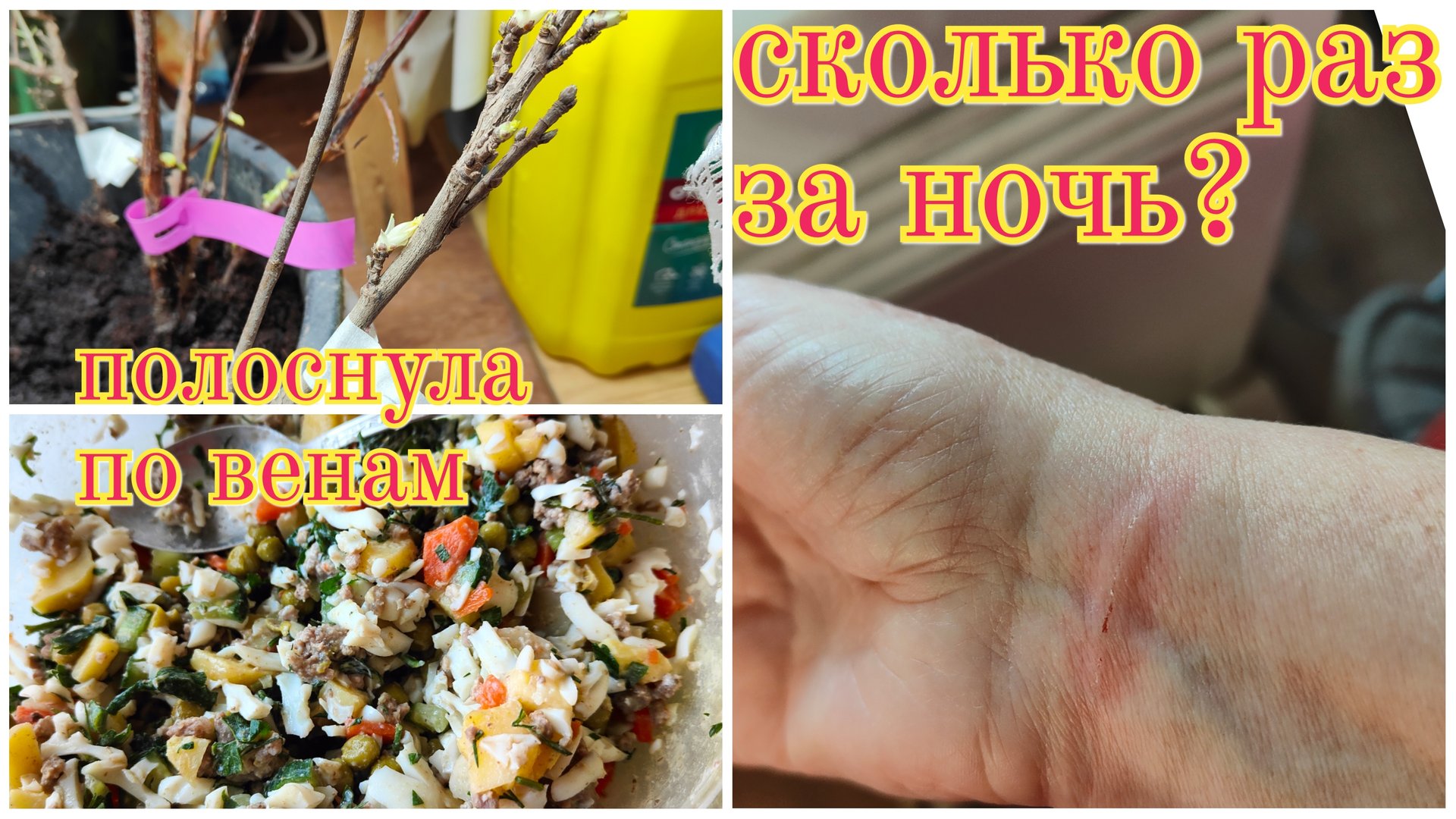 Получила кучу саженцев! Плато в похудении смотреть онлайн