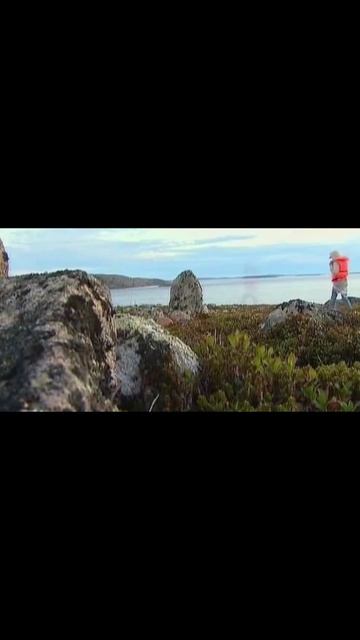 Кажется я все понял.