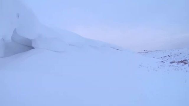 Волна смотреть онлайн