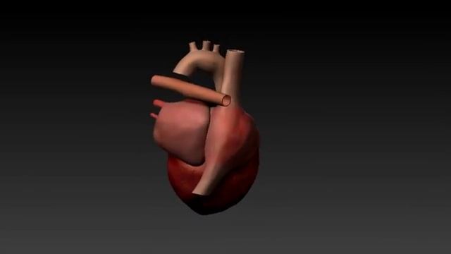 ZBrush Movie смотреть онлайн