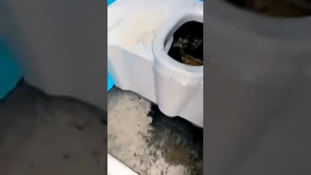 Ржакаахахаха смотреть онлайн