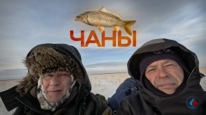 Палаточная рыбалка с другом ЧАНЫ 2025. Карась и судак!