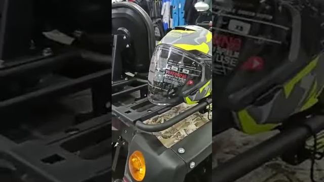 Квадроцикл STELS ATV 650 YL EFI LEOPARD, 2021 смотреть онлайн