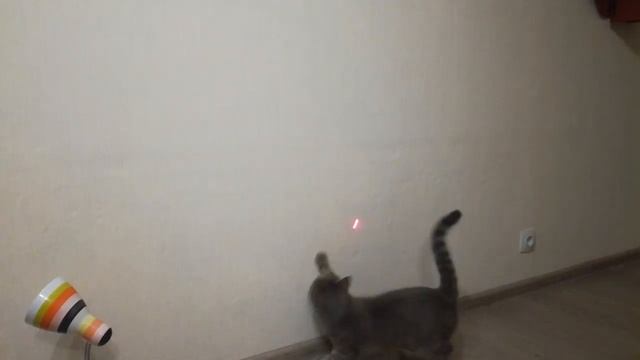 КАК МОЙ КОТ УМЕЕТ ПРЫГАТЬ смотреть онлайн