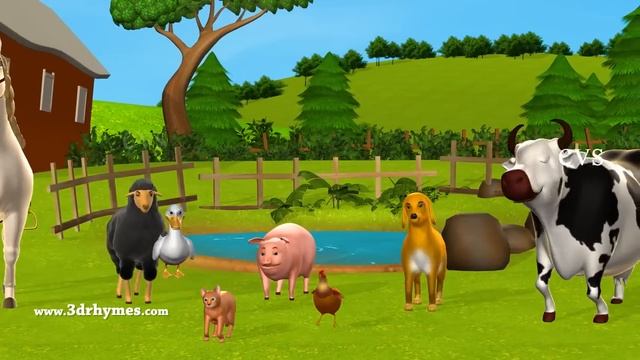 Five Little Speckled Frogs Plus More Kids' Songs - 3D English Nursery Rhymes For Children