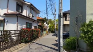 Выходные в Токио! Встреча с друзьями и ностальгия