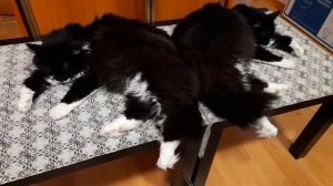 🎁РАСПАКОВКА🎁ПОХОД ПО МАГАЗИНАМ🎁ПОЛЕЗНЫЕ
 ПОКУПКИ🎁