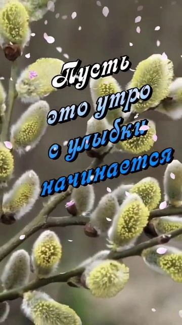 Доброе утро Всем💖☕ смотреть онлайн