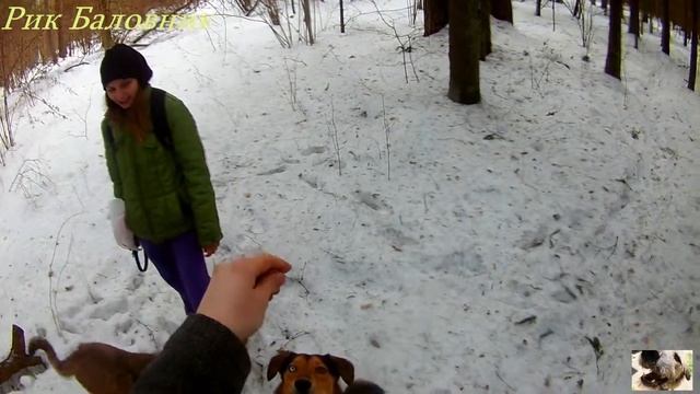 Лесная команда (часть 2) смотреть онлайн