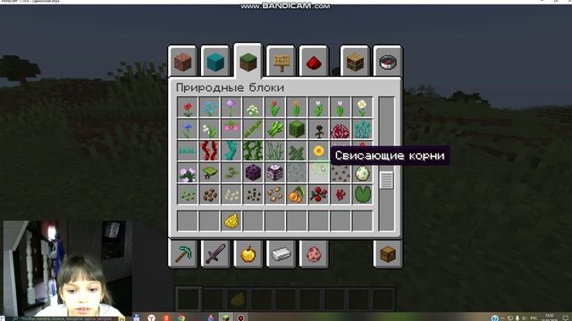 Запомните, эта игра называется: Minecraft.