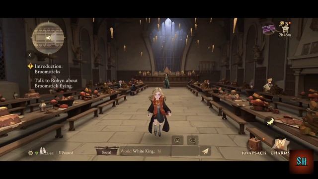Harry Potter Magic Awakened Gameplay 2 | ShadowHunters Gaming | Raven | Aurora | Evil | WB | HP смотреть онлайн