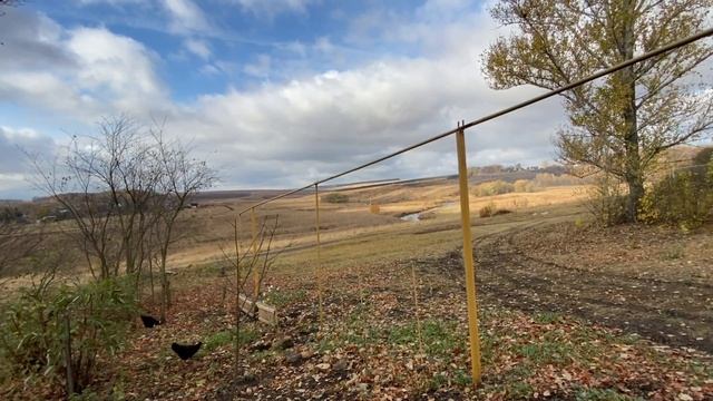 Посадка цветов смотреть онлайн