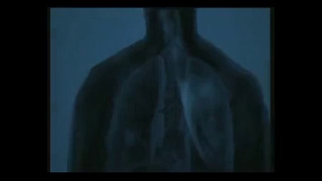 Курение вред смотреть онлайн