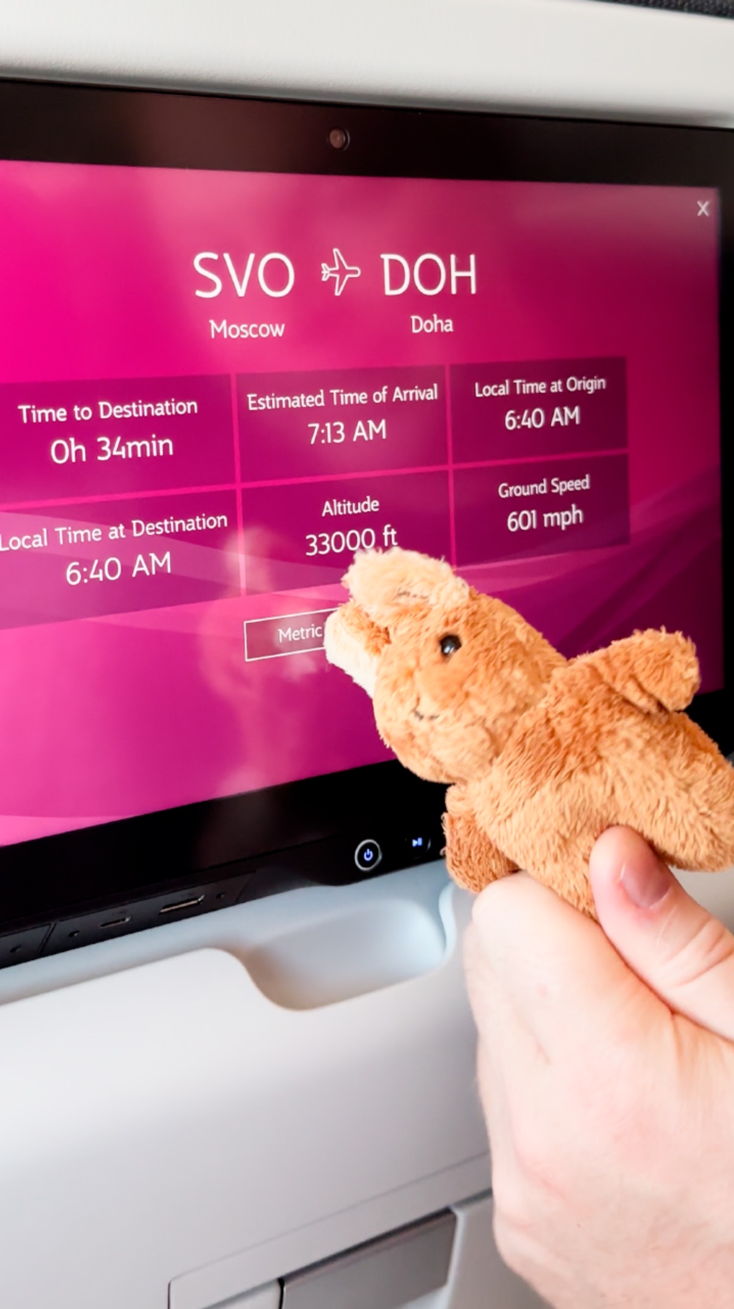 Кенгуряша летит в Катар ✈️ смотреть онлайн