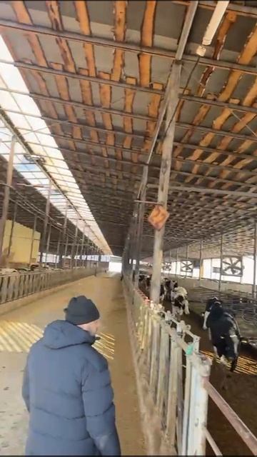КРС смотреть онлайн