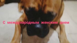 С МЕЖДУНАРОДНЫМ ЖЕНСКИМ ДНЁМ !!!