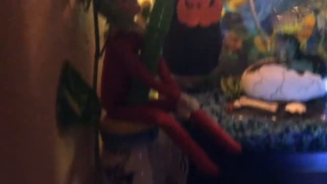 Shelf Elves Day:8 Goin Fishin смотреть онлайн