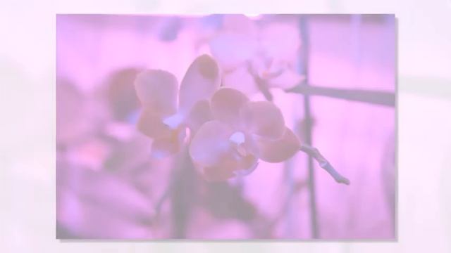 Мои красотки (песня "Осенняя сказка" А.Чугайкиной. Пою я-Марина Зорина) смотреть онлайн