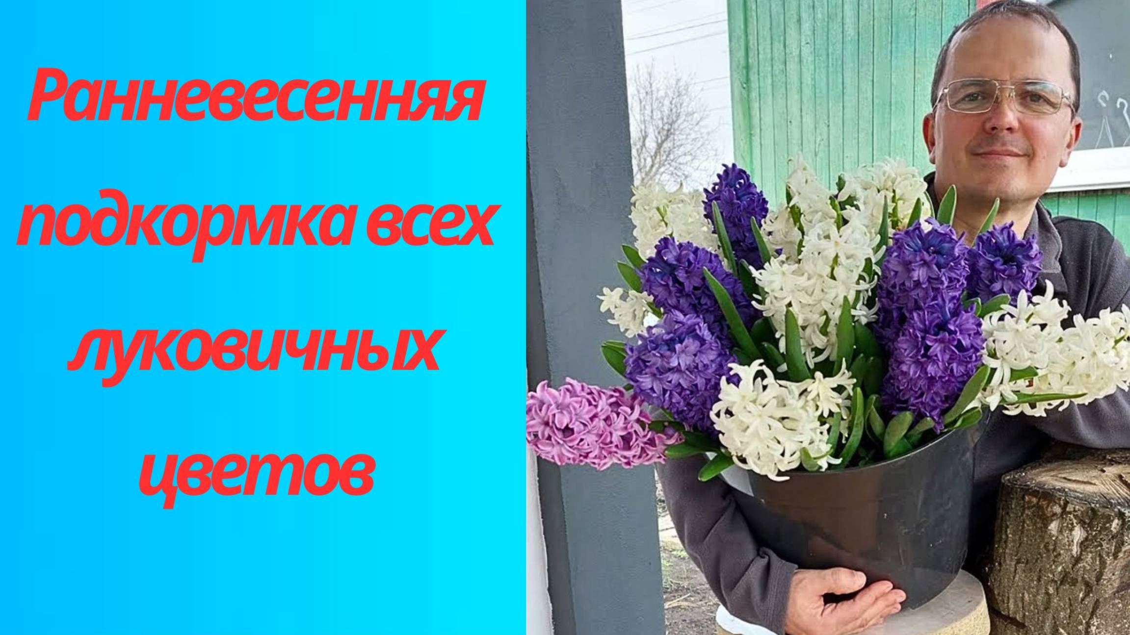 🌱🌸 Секрет пышного цветения: весенняя подкормка тюльпанов и нарциссов! смотреть онлайн