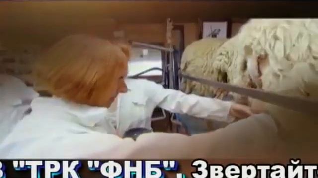 Усадьба (Дом вдали от дома_Побег из города) смотреть онлайн