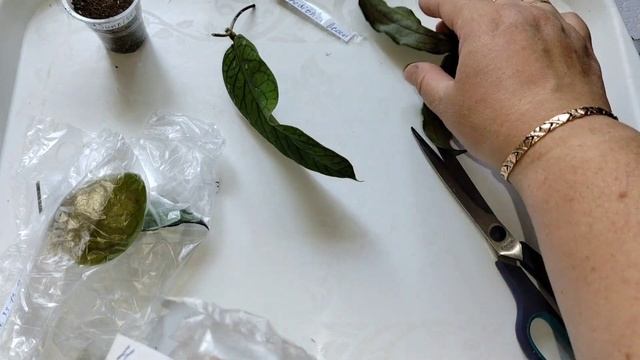 И снова распаковка новинок! Что заказала на этот раз? смотреть онлайн