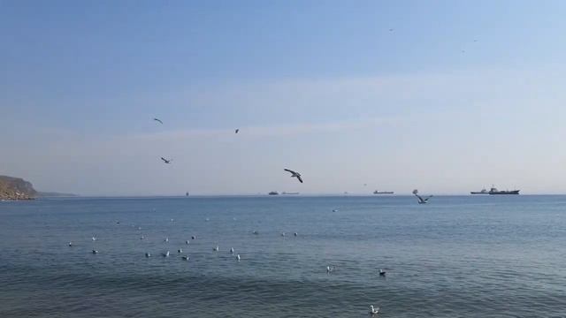 Первые чайки смотреть онлайн