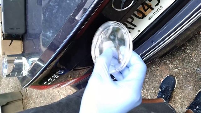 Collecting cutaneous microbiome sample from salamander смотреть онлайн