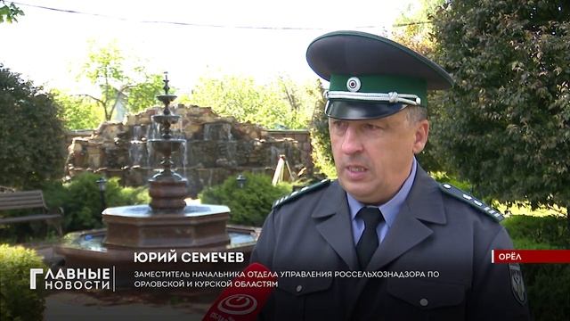 В Россельхознадзоре обработку деревьев от моли считают нецелесообразной смотреть онлайн