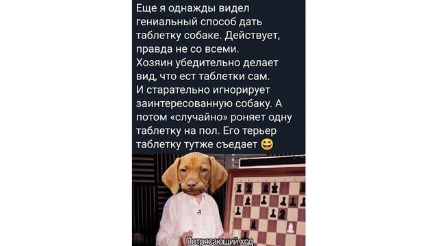 Приколы. НЕ ВСЕ ПОЙМУТ | Мемозг #170