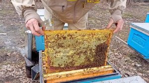 Обзор пасеки на дадановской рамке