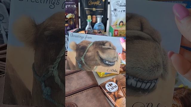 Что привезти из Дубая? (Дубай Молл, Марина Молл) 2024г. смотреть онлайн