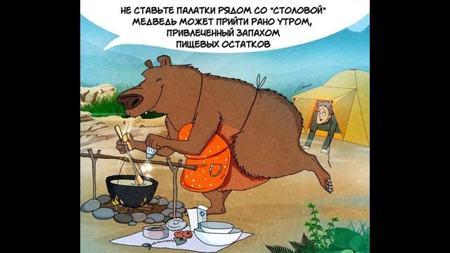 10 правил поведения с медведями. смотреть онлайн